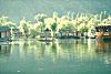 Houseboats on Dal Lake, Srinagar, Kashmir