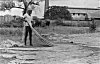 Man Extracting and Drying Jute, West Bengal