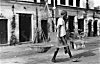 Man Transporting Jute Stems