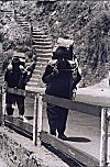 Himalayan Laborers, Shimla