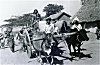 Lambani Folk Arriving for Work in the Town