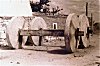 Stone Wheels of a Chariot, Sibi Temple