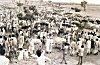 Crowd Gathered for Bullock Cart Racing