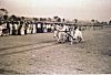 Bullock Cart Racing