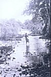 Jyotsna Crossing Amdayi River