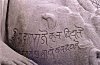 Carving at the footstep of Gomateshwara