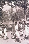 A Group of Tribal Women