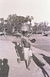 A Tribal Woman with Basket on her Head