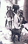 Tribal Woman at the Fair