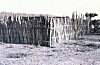 A Fence Protecting Produce from Wild Animals