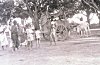 A Traveling Community Resting the Bulls