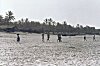 Fisherwomen on a Goan Beach