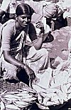 Woman Selling Fresh Fish