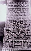 Sanchi Sculpture