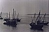 Merchant Boats (Machwas) Docked at Honavar Port