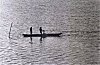 Fishing in Sharavati River