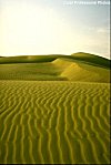 Picturesque Sand Dunes, Rajasthan