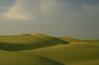 Sand Dunes, Thar Desert