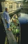 Floating Vegetable Shop