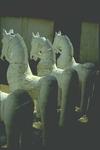 Horse Offerings, Madurai, Tamilnadu