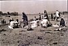 Villagers Picnicking on a Lakeshore