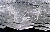 Pachmarhi Petroglyphs