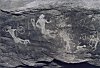 Prehistoric petroglyph, Central India