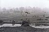 Monsoon in Madhya Pradesh