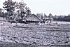 Thatched Huts, Bastar