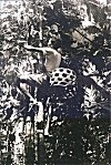 Man Climbing a Areca Nut Tree