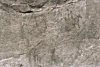 Petroglypphs from Adamgad Cave