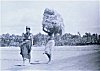 Halakki Tribal Women Walking with  Haystacks