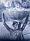 Fisherwoman Selling Fish Door-to-door