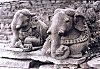 A Pair of Stone Elephants