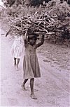 Girls Carrying Twigs from Forest