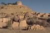 Camel with Ruins