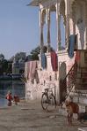 By the Lake in Udaipur