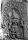 Icon of Dhanwantari
