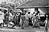 Scene at a Fish Market