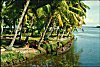 Backwaters of Kerala