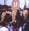 Decorated Elephants, Pooram