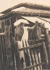 Gandhi at his Hermitage