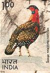 Western Tragopan