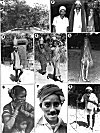 Pictures of the Gouli (Milkmen) Community