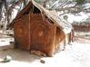 Habitat of a Basket Weaver