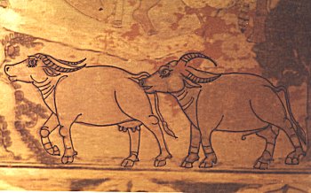 Sibi Paintings 