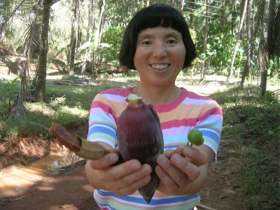 The Exotic Farm of Manikkara